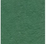 PAPERTREE DS 200g BAGASSE Vert