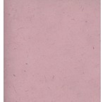 PAPERTREE 50*70 LOKTA PAPER Rose Poudré