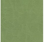 PAPERTREE 50*70 100g AMAZONIA Tilleul