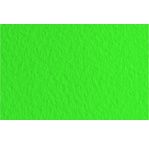 FABRIANO DESSIN TIZIANO Feuille 50x65cm 160gsm vert pré 12