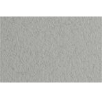 FABRIANO DESSIN TIZIANO Feuille 50x65cm 160gsm gris foncé29