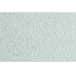 FABRIANO DESSIN TIZIANO Feuille 50x65cm 160gsm gris givré32