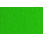 FABRIANO DESSIN TIZIANO Feuille 50x65cm 160gsm vert billa37