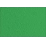 FABRIANO TIZIANO -Feuille 70x100 cm -160 gsm -vert pré 12