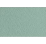 FABRIANO TIZIANO -Feuille 70x100 cm -160 gsm -vert forêt 13