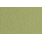 FABRIANO TIZIANO -Feuille 70x100 cm -160 gsm -vert mousse 14