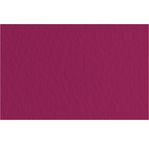 FABRIANO TIZIANO -Feuille 70x100 cm -160 gsm -amarante 23