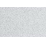 FABRIANO TIZIANO -Feuille 70x100 cm -160 gsm -gris givré 32