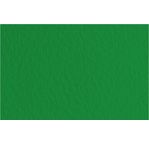 FABRIANO TIZIANO -Feuille 70x100 cm -160 gsm -vert billard 37