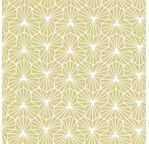 PAPERTREE 50*70 100g ALIENOR WASABI/ BLANC