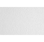 FABRIANO CARTACREA (L/R) -Feuille 50x70 cm -220 gsm -blanc