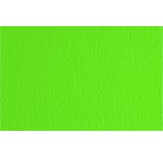 FABRIANO CARTACREA (L/R) -Feuille 50x70 cm -220 gsm -vert