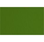 FABRIANO CARTACREA (L/R) -Feuille 50x70 cm -220 gsm -vert pré