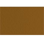 FABRIANO TIZIANO -Feuille 70x100 cm -160 gsm -café 09