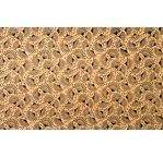 PAPERTREE 50*70 100g JAPONICA Papier Or & Noir