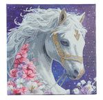 CRYSTAL ART Kit tableau broderie diamant 30x30cm- Beauté mystique