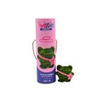 ENJOY ART Kit fils chenille Grenouille Twisties