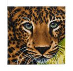 CRYSTAL ART Kit tableau broderie diamant 30x30cm Léopard