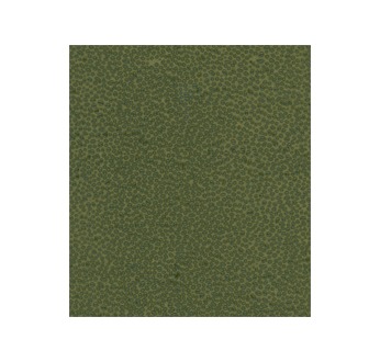 PAPERTREE 56*76 125g GUM Kaki