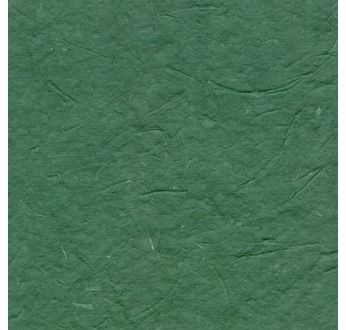 PAPERTREE DS 200g BAGASSE Vert