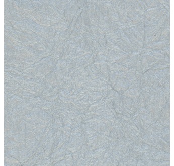 PAPERTREE 56*76 125g ANTIK Argent