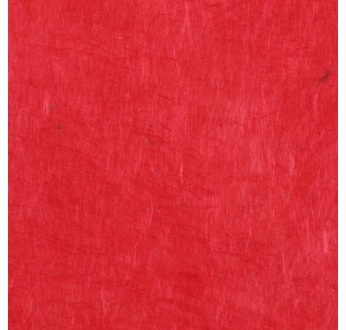 PAPERTREE 50*70 LOKTA PAPER Tomato
