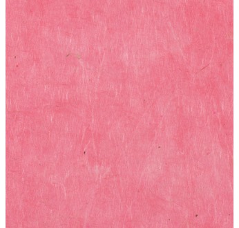 PAPERTREE 50*70 LOKTA PAPER Camelia