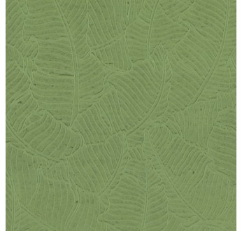 PAPERTREE 50*70 100g AMAZONIA Tilleul