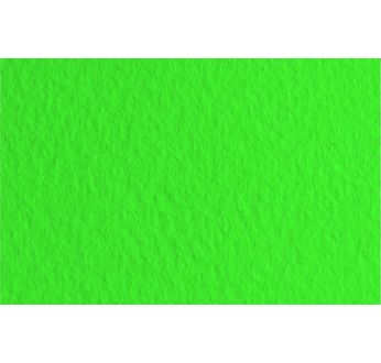 FABRIANO DESSIN TIZIANO Feuille 50x65cm 160gsm vert pré 12