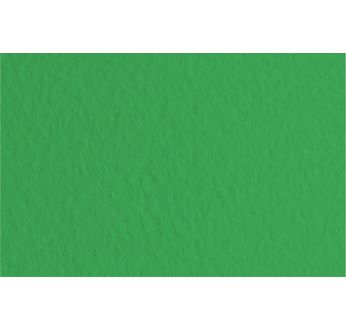 FABRIANO TIZIANO -Feuille 70x100 cm -160 gsm -vert pré 12