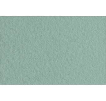 FABRIANO TIZIANO -Feuille 70x100 cm -160 gsm -vert forêt 13