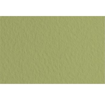 FABRIANO TIZIANO -Feuille 70x100 cm -160 gsm -vert mousse 14