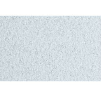 FABRIANO TIZIANO -Feuille 70x100 cm -160 gsm -gris marine 15