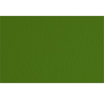 FABRIANO CARTACREA (L/R) -Feuille 50x70 cm -220 gsm -vert pré