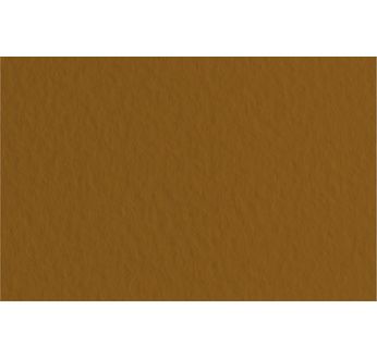 FABRIANO TIZIANO -Feuille 70x100 cm -160 gsm -café 09