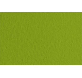FABRIANO TIZIANO -Feuille 70x100 cm -160 gsm -vert pistache 43