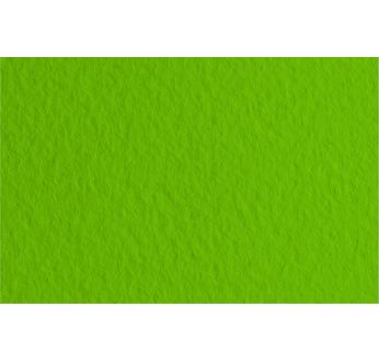FABRIANO DESSIN TIZIANO Feuille 50x65cm 160gsm vert pista43