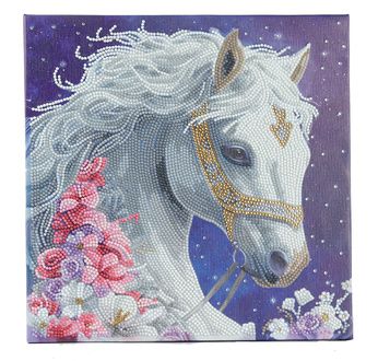 CRYSTAL ART Kit tableau broderie diamant 30x30cm- Beauté mystique