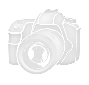 1 LOT Sticker Contours - Décorations de Noël - Or