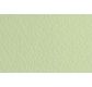 FABRIANO TIZIANO -Feuille 70x100 cm -160 gsm -vert pâle 11