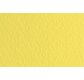 FABRIANO TIZIANO -Feuille 70x100 cm -160 gsm -jaune citron 20
