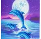 CRYSTAL ART Kit Carte à diamanter 18x18cm Dauphins