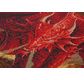 CRYSTAL ART Kit tableau broderie diamant 70x70cm Anne Stokes Dragon