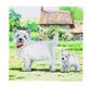 CRYSTAL ART Kit Carte à diamanter 18x18cm Westie