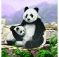 CRYSTAL ART Kit Carte à diamanter 18x18cm Pandas