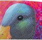 CRYSTAL ART Kit Carte à diamanter 18x18cm Canard