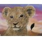 CRYSTAL ART Kit Carte à diamanter 18x18cm Lionceau