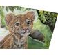 CRYSTAL ART Kit Carte à diamanter 18x18cm Bébé tigre