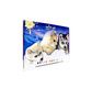 Peinture par N° - Dans le Grand Nord