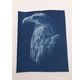 Enjoy Art 30 Feuilles Cyanotype A4
